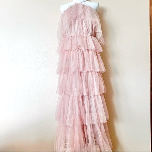 ARULA Dresses & Skirts - Arula Pink & Silver Speckled Glitter Halted Tulle Tiered Maxi Dress.